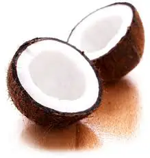 Huile noix de coco