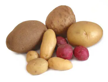 patates-