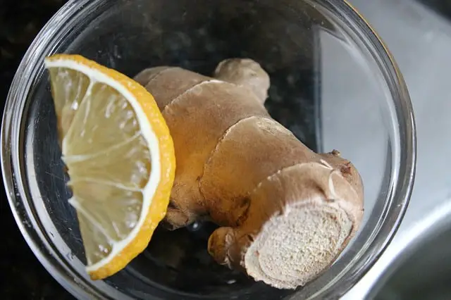 Gingembre-citron-bienfaits