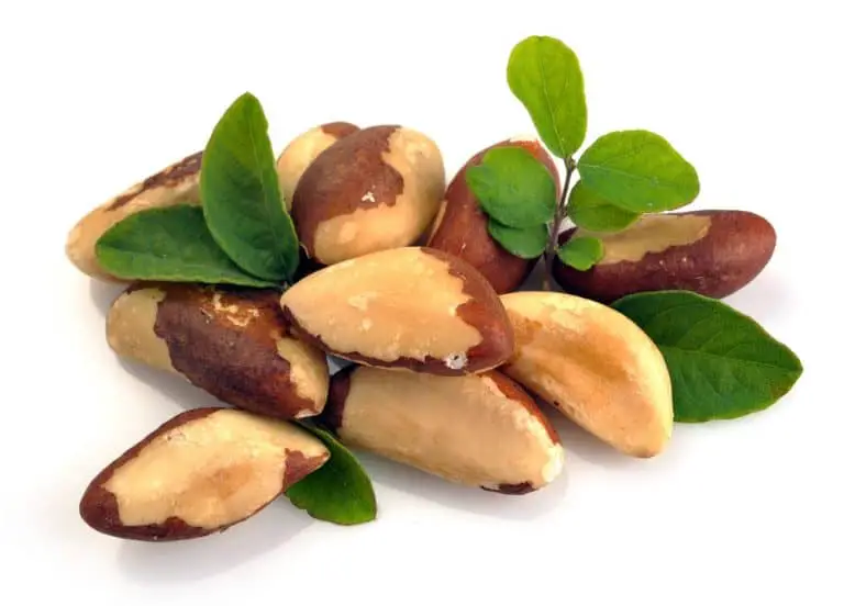 Mangez des noix du Brésil: les 9 bienfaits surprenants pour votre santé